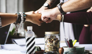 Business Incorporation Services